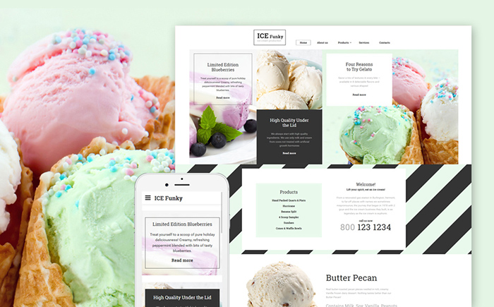         Ice Cream Website Template    