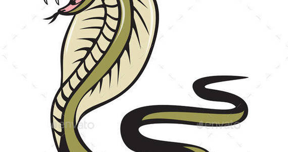 Box cobra snake attacking iso prvw