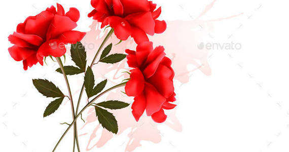 Box 01 flower background with three red flowers t