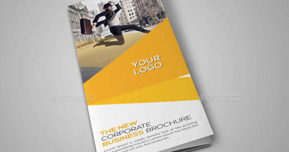 Box corporate brochure bundle preview