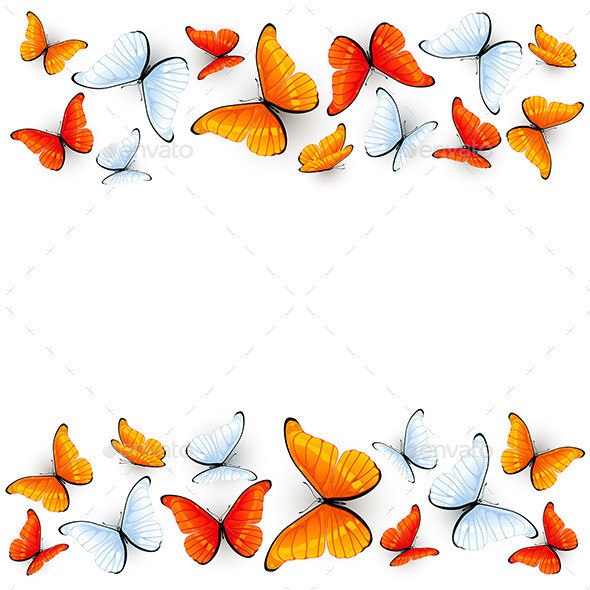 Red 20and 20white 20butterflies 20on 20white 20background 201