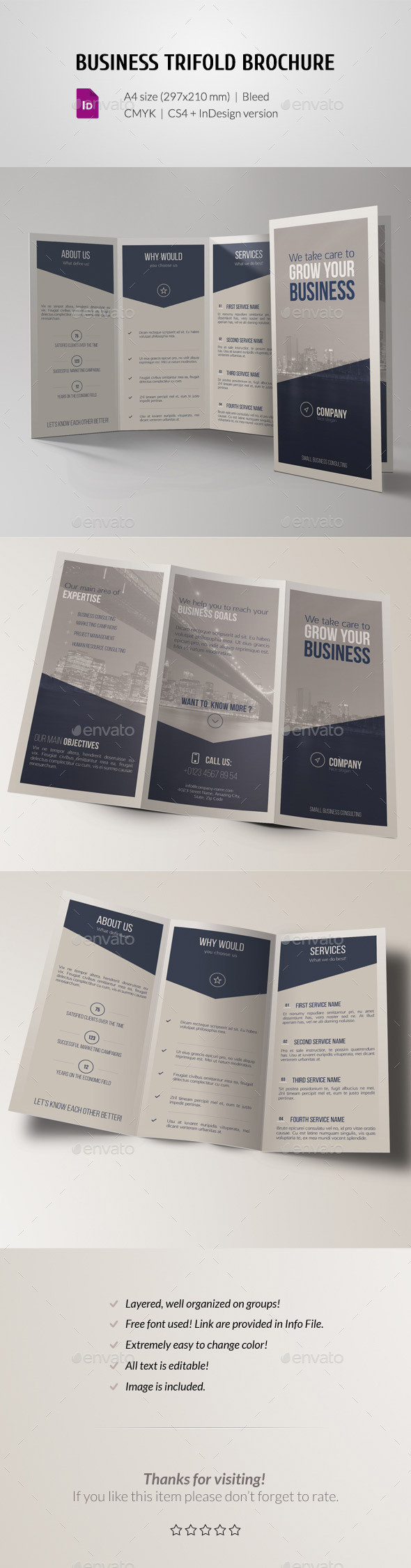 Business trifold 01 preview