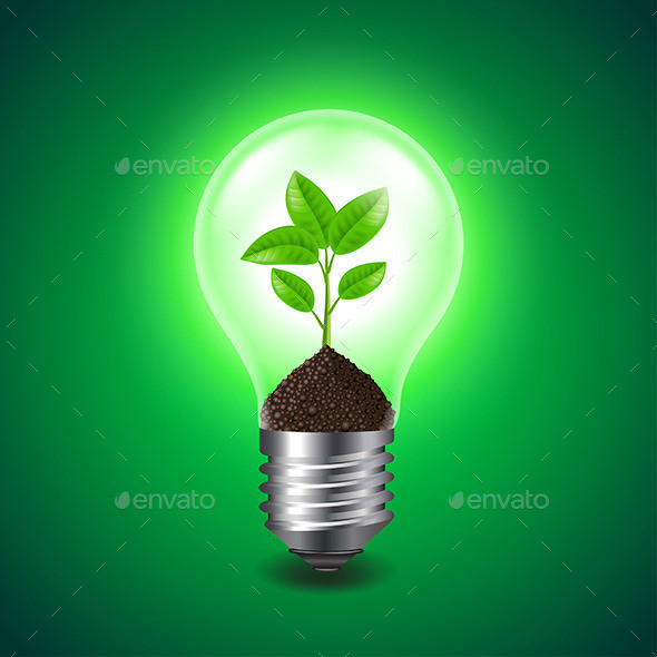 Sprout inside light bulb environment concept