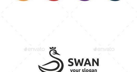 Box swan