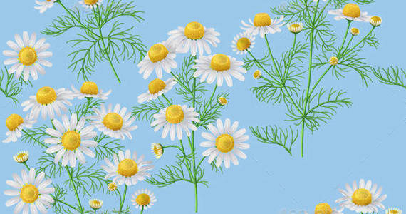 Box light chamomile bunch pattern preview