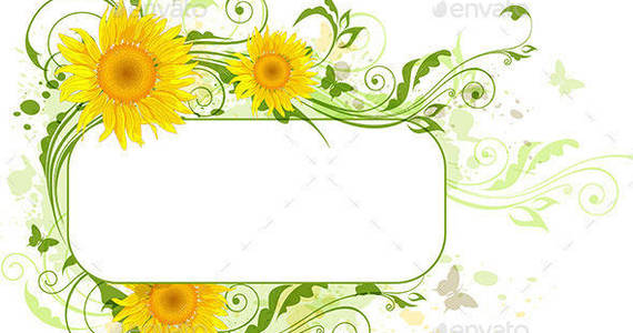 Box sunflower background2590
