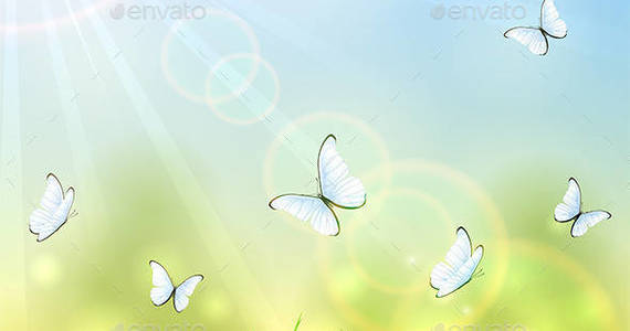 Box white 20butterflies 201