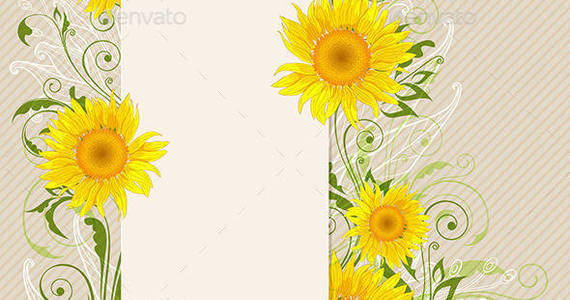 Box sunflower banner3590