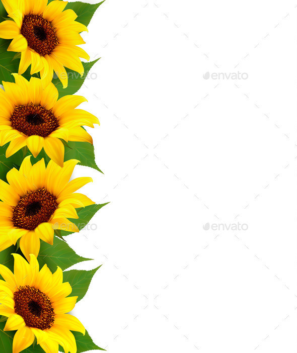01nature flower background with yellow sunflowers t
