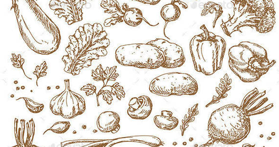 Box vegetables sketch set preview