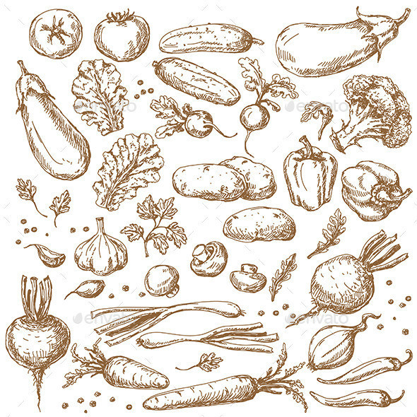 Vegetables sketch set preview