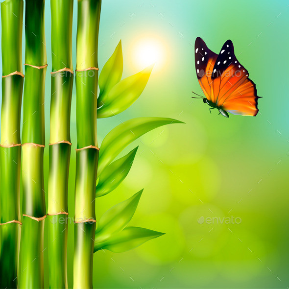 01nature background with bamboo and butterfly t
