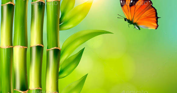 Box 01nature background with bamboo and butterfly t