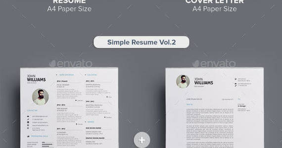 Box simple resume bundle preview