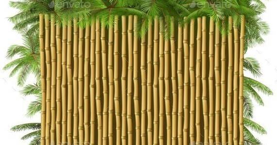 Box vector 20bamboo 20fence 20with 20palm