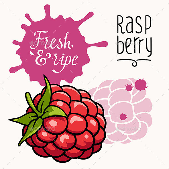 Raspberry 20concept