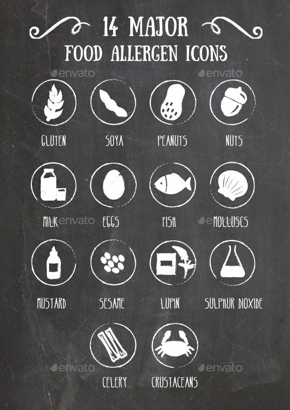 14 food allergen icons preview