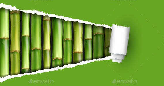 Box bamboo 0019 green ripped paper am ipr