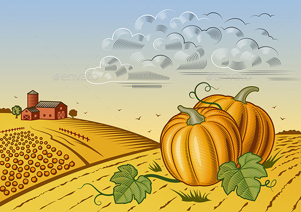 P pumpkin harvest landscape