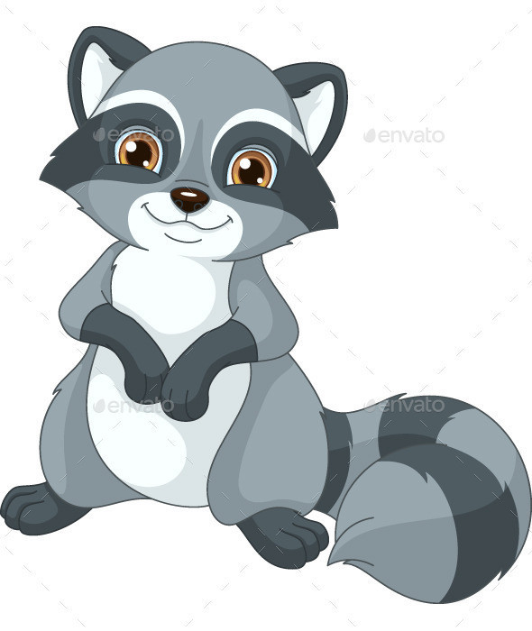 Raccoon