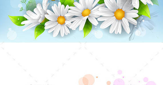 Box flower 20background preview