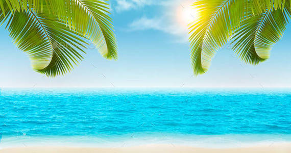 Box 01background with blue sunny sea and sky and green palm t