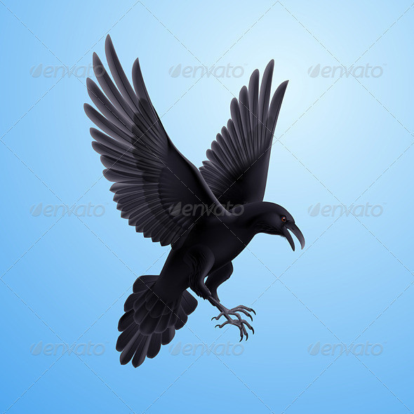 Raven 06 590