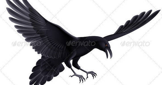 Box raven 03 590