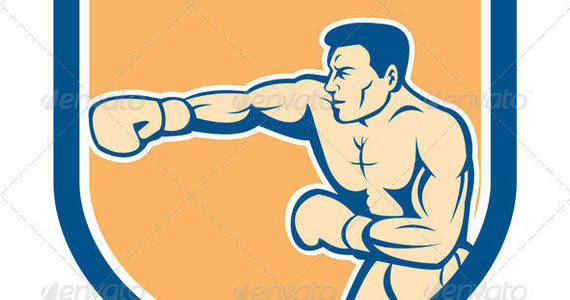 Box boxerpunching side shield prvw