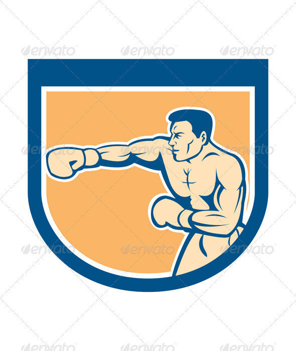 Boxerpunching side shield prvw