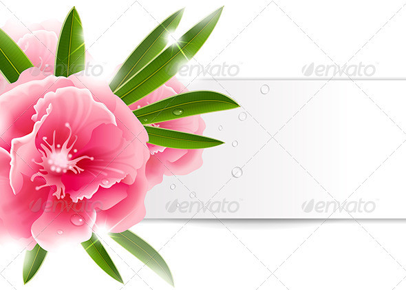 Background 20with 20pink 20flower