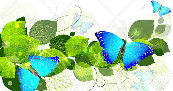 Box floral 20background 20with 20butterflies