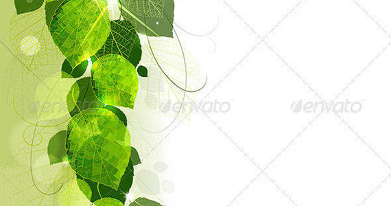 Box floral 20background 20of 20leaves