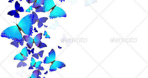 Box background 20of 20butterflies