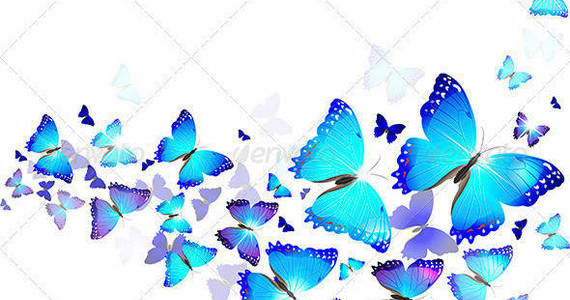 Box background 20of 20blue 20butterflies