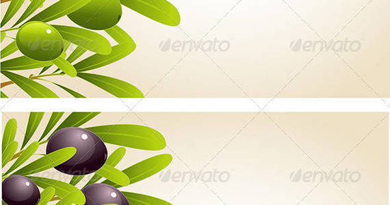 Box olive backgrounds590