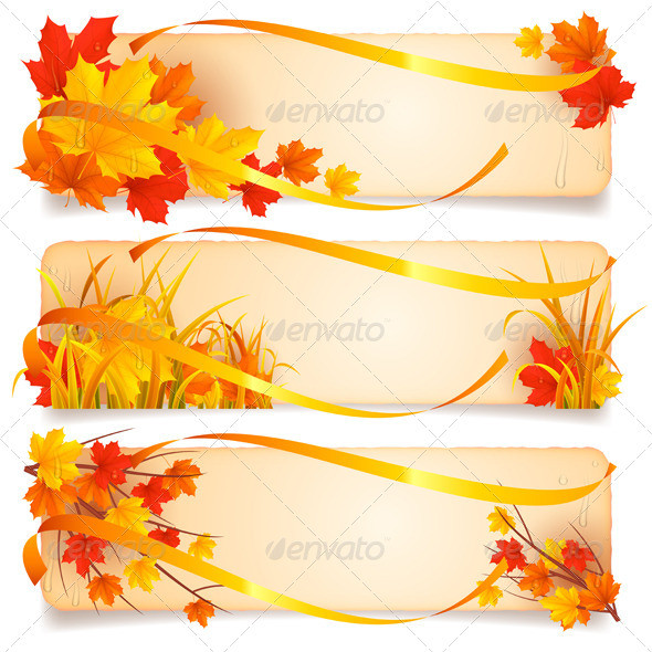 Timurock autumn banner001 gr1