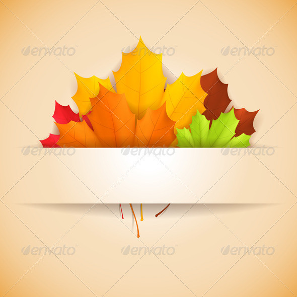 Timurock autumn banner002 gr1