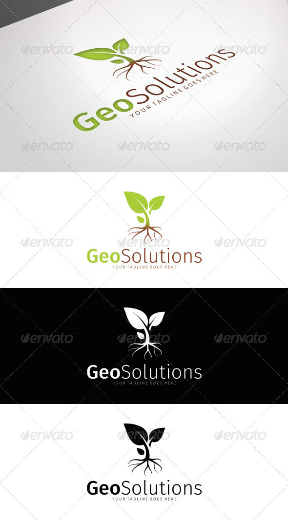 Geo 20solutions 20logo 20template 20preview