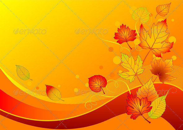 Autumn bg 015