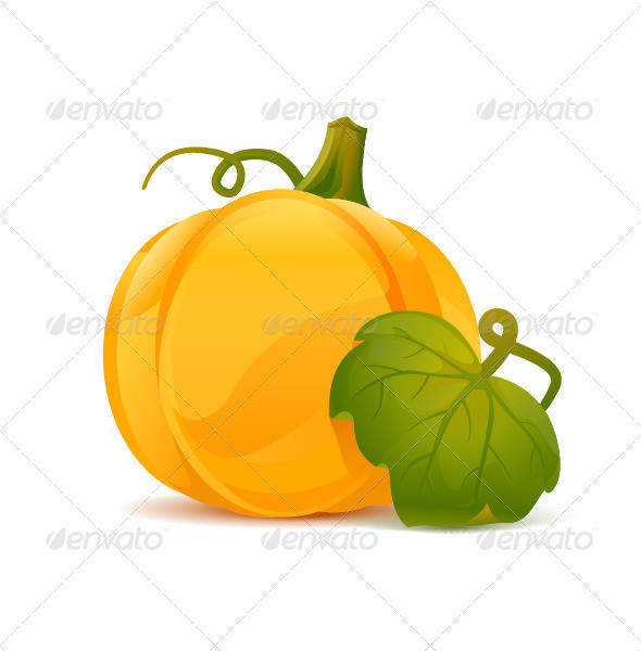 Pumpkin with leaf 590