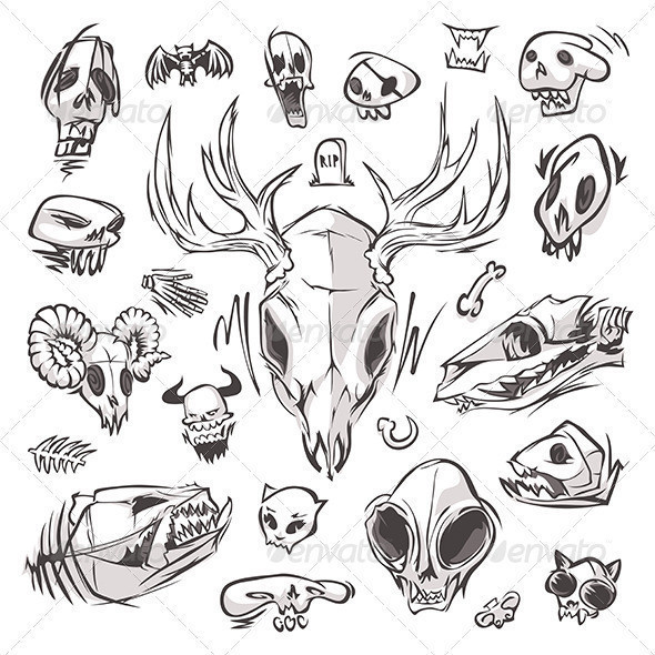 Diverse skulls set