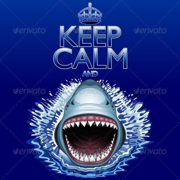 Keep 20calm 20and 20shark 20jaws 20attack jpg 20590