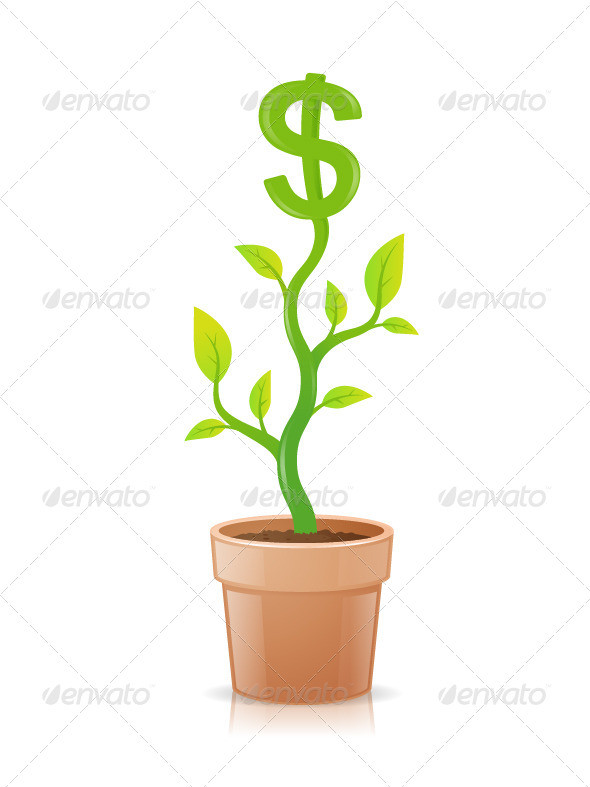 Gr dollar plant