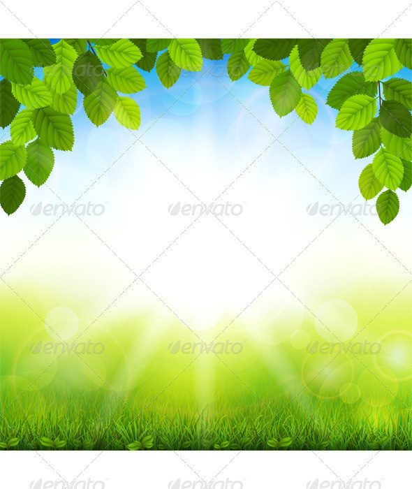 Summer 20background 20with 20green 20leaves