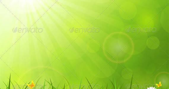 Box summer 20background 20with 20grass