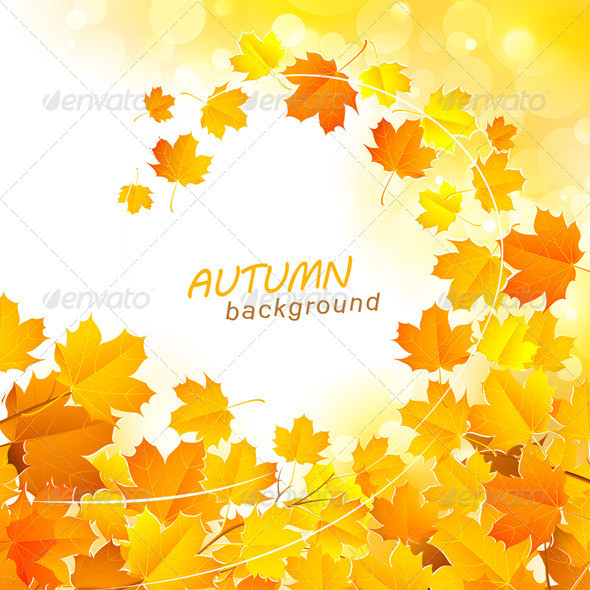 Autumn 20leaves2 20v 20kr