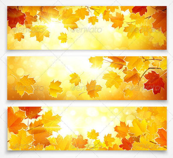 Autumn 20banners