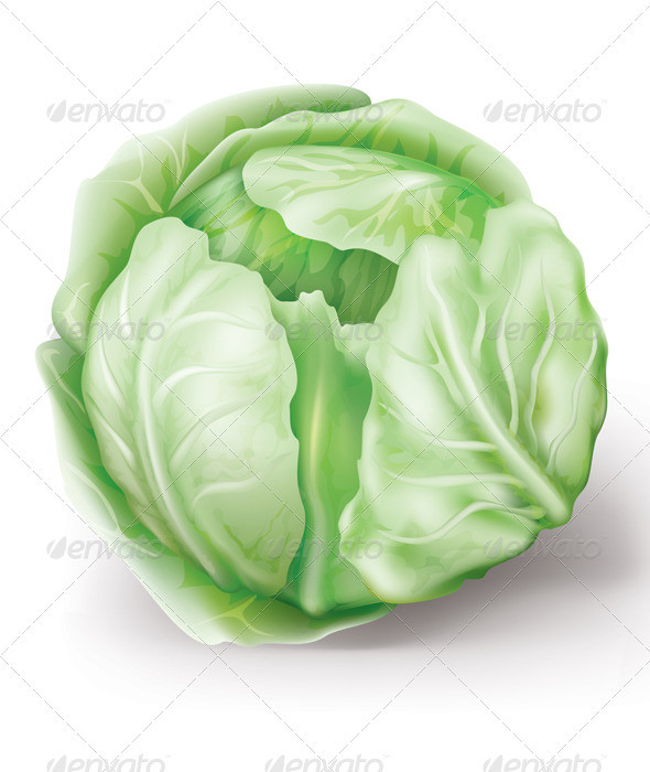 Cabbage prev