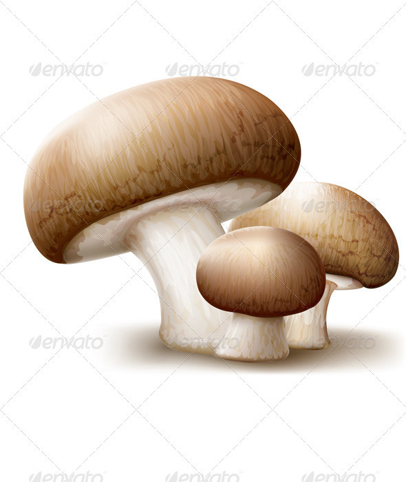 Champignons 20mushrooms prev